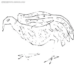 简单线描画-低头走的鸟AI矢量文件|传统图案|动物|黑白|几何线|简单|鸟|矢量素材|图案|线描画