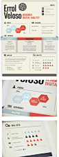 Errol Veloso - Designer Digital Analyst . resume infographic