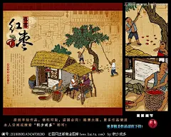 红枣 手绘 插画 宣传画