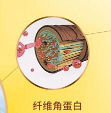 柏朵朵采集到护肤品元素