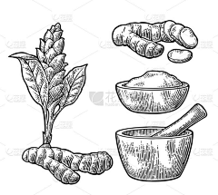 louxiaoli采集到娄小莉的画板