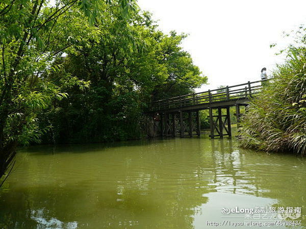 杭州西溪湿地、楼外楼、白堤 西溪湿地公园...