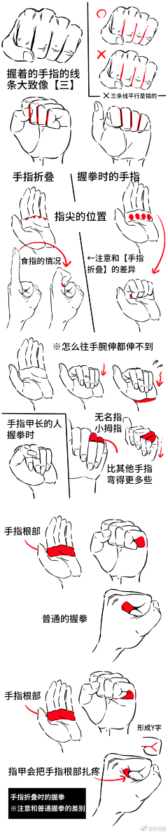 saimaluo采集到人体素材