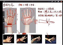 梳芒mollyOvO采集到未命名画板