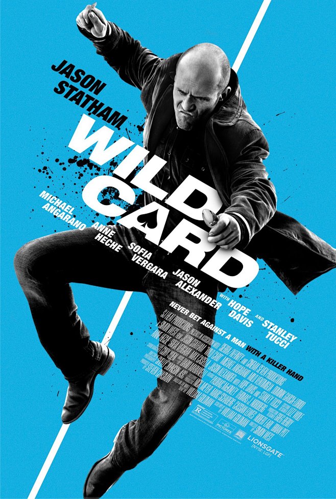 致胜王牌 Wild Card (2015...