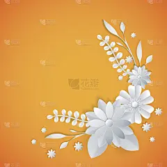 白纸花花背景