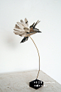 原创手工博文: 纸艺艺术家Anna Wili Highfield：纸雕飞鸟雕塑