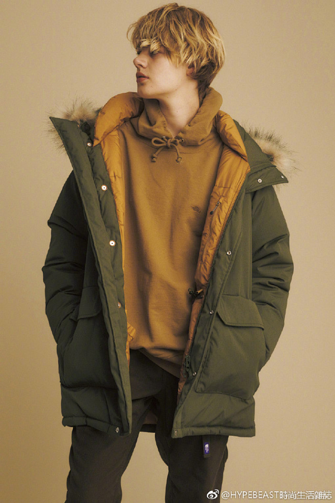 【THE NORTH FACE PURP...