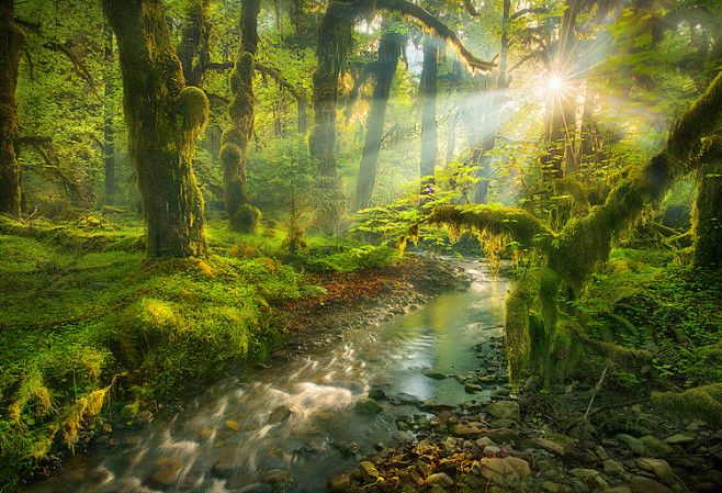 【美图分享】Marc  Adamus的作...