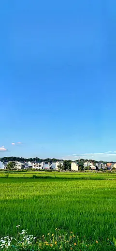 原图壁纸：蓝天白云下，晴空万里的美好生活-今日头条