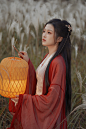 忽晚-汉服频道-我爱古装网 - 古装爱好者的家园