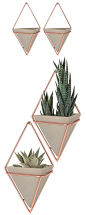 The Tribeca Wall Vessel set offers an optically pleasing geometric design. These multi-dimensional containers house small plants and other diminutive décor. Resin pots in copper wire frames add a disti...  Find the Tribeca Wall Vessel - Set of 2, as seen
