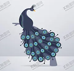 孔雀 【酷图网】孔雀,孔雀开屏,孔雀毛,羽毛,开屏,蓝孔雀,绿孔雀,刚果孔雀,白孔雀,孔雀素材,孔雀设计,孔雀壁纸,孔雀摄影,孔雀高清,水彩图案,孔雀拍摄,孔雀园,孔雀世界,孔雀生活,孔雀矢量图,鸟,鸟类,大鸟,大鸡,鸡雉,唯美,动物,野生动物