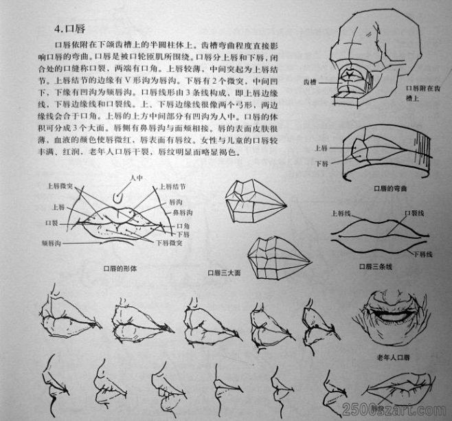 绘画基础教程《透视与比例》(2) - 素...