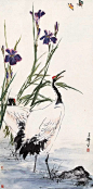 王雪涛花鸟作品，精选60幅!