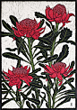 waratah-linocut-rachel-newling.jpg