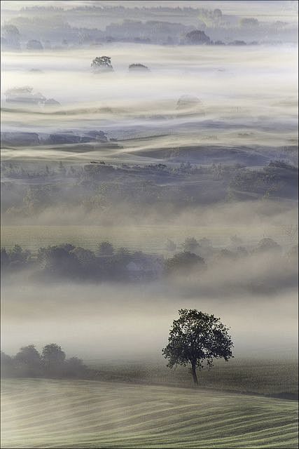  雾，威尔特郡英格兰和黎明
mists,...