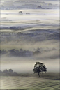 一次，薄雾笼罩的迷雾皮尤西，威尔特郡淡水河谷在黎明。英国
Mists of Time, A Mist shrouded Vale of Pewsey, Wiltshire at dawn. England