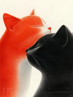猫 - 小红书