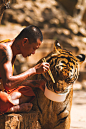heroinsight:

Monk and Tiger sharing their meal
