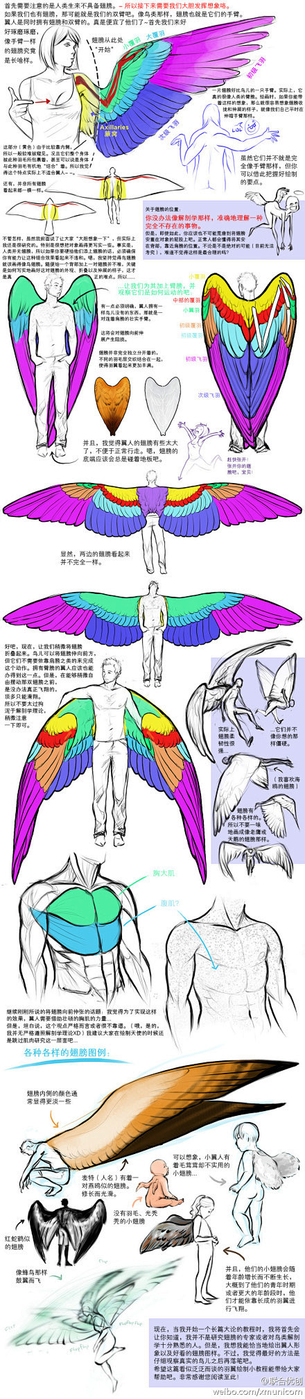 【绘画教材】翅膀的研究和画法~对大家一定...