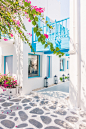 santorini-buganvillas-pueblo-blanco-hermoso_1203-4772