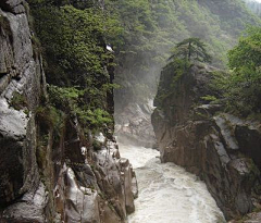 paiyuan采集到雨丝织梦到徽州