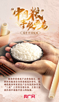 世界粮食日丨一起打开“中国粮”丰收画卷！_央广网
