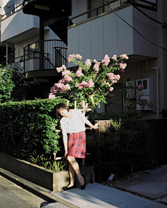 头上有犄角0111采集到lonely_shim