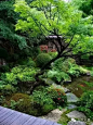 中式泼墨山水风，东方禅意庭院！