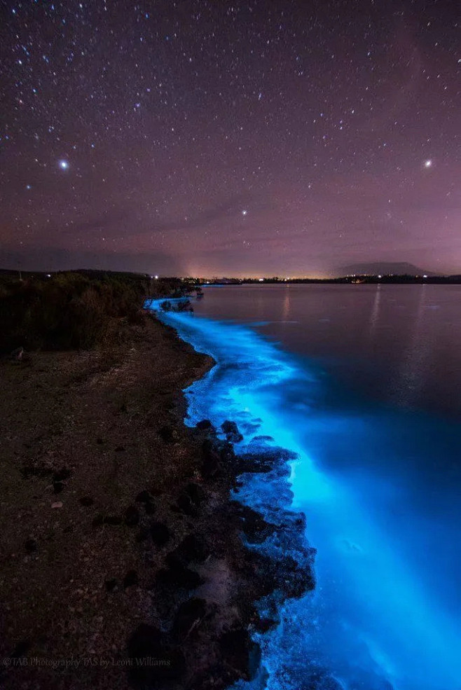 海边夜景