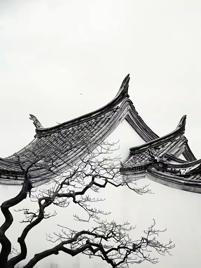 一角飞檐，几朵梅花。凌寒独自开，未有暗香...
