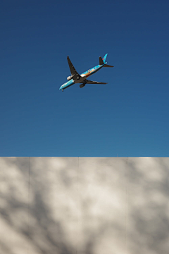 森林中采集到Trip.Airplane