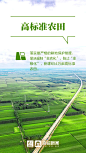 微海报丨12个关键词，看2021山东惠农好政策_融媒策划_大众网
