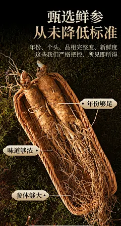 坏参包赔-长白山鲜参带土新鲜人参泡酒林下叁东北大人参500g山参-tmall.com天猫