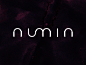 Numin is a quantitative trading fund based in New York. I developed the branding strategy and logo design from name to final letterforms.