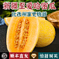 至爱哈密瓜_淘宝搜索