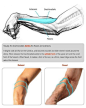(5435) Pinterest