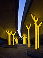 GLOWING GOLDEN FOREST, SYDNEY | Real WoWz