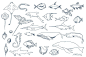 海鲜海产动物包装线稿鱼虾蟹手绘海洋生物AI+psd设计素材 (6)
