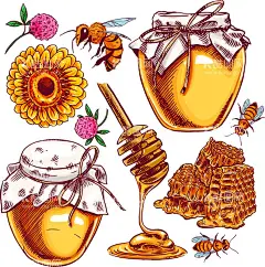 手绘蜜蜂蜂蜜  - 源文件下载【酷图网】蜜蜂,蜂蜜,采蜜,花,小蜜蜂,蜜蜂卡通,蜜蜂手绘,手绘卡通,大蜜蜂,昆虫,大黄蜂,飞舞,免扣,蜜蜂素材,卡通蜜蜂,矢量,勤劳,手绘,手绘蜂蜜,手绘蜜蜂