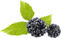 f166d0f88cfd17e1e5af6d6f05efc099