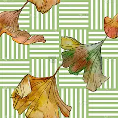 绿色黄色银杏叶植物叶。水彩插图集。水彩画时尚水族馆隔离。无缝的背景模式。织物壁纸打印纹理.