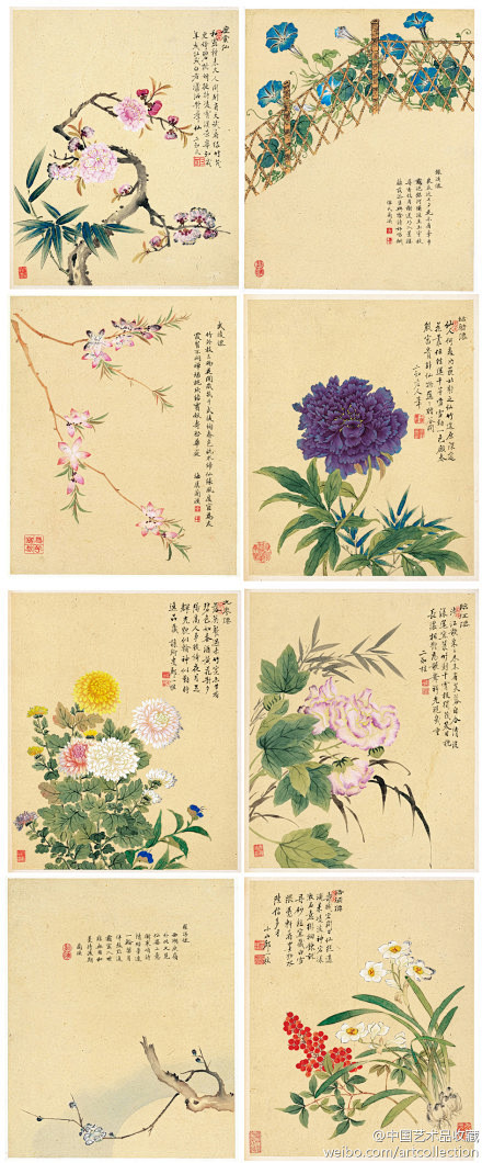 #国画#【 清 邹一桂 《花卉八开》 】...