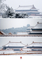十一月的尾巴，#紫禁城的初雪#怎么都看不够！ ​​​​