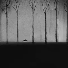 诗意的孩子与野生动物的黑白水彩插画 文艺圈 展示 设计时代网-Powered by thinkdo3