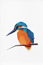 Geometric illustration, Kingfisher, Bird print, Original illustration on Etsy