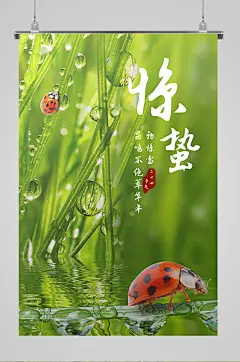 惊蛰节气春山如笑宣传海报