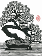 Bonsai Pine Linocut Print 9"x13"