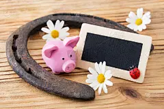 祝你好运的象征